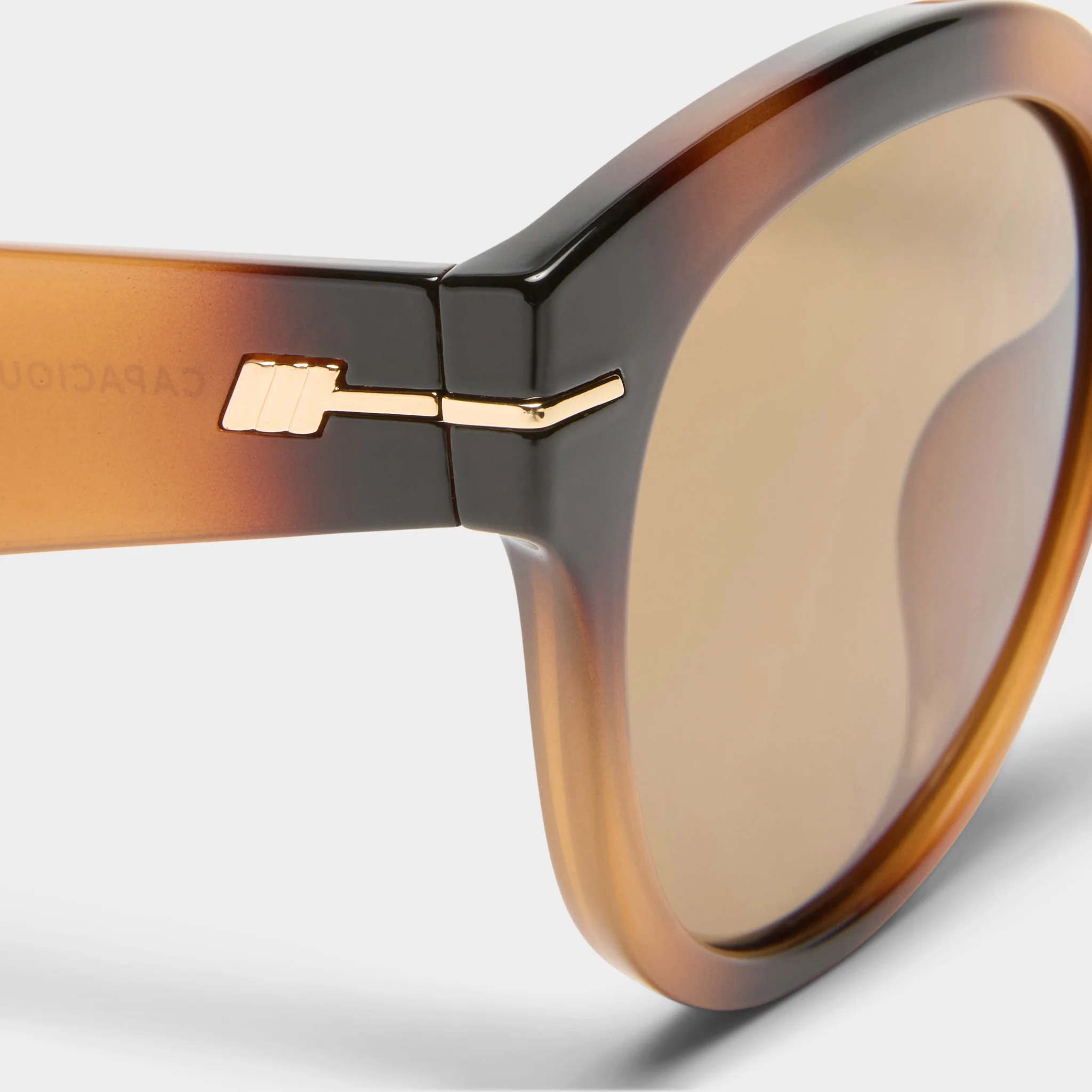 CAPACIOUS | TORT - Image 4