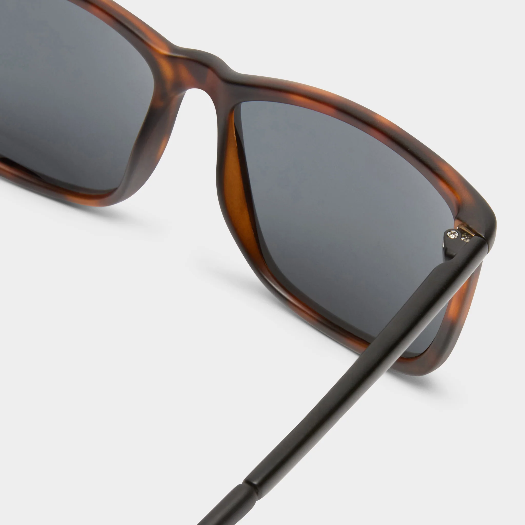 TWEEDLEDUM | MATTE TORT MATTE BLACK - Image 4