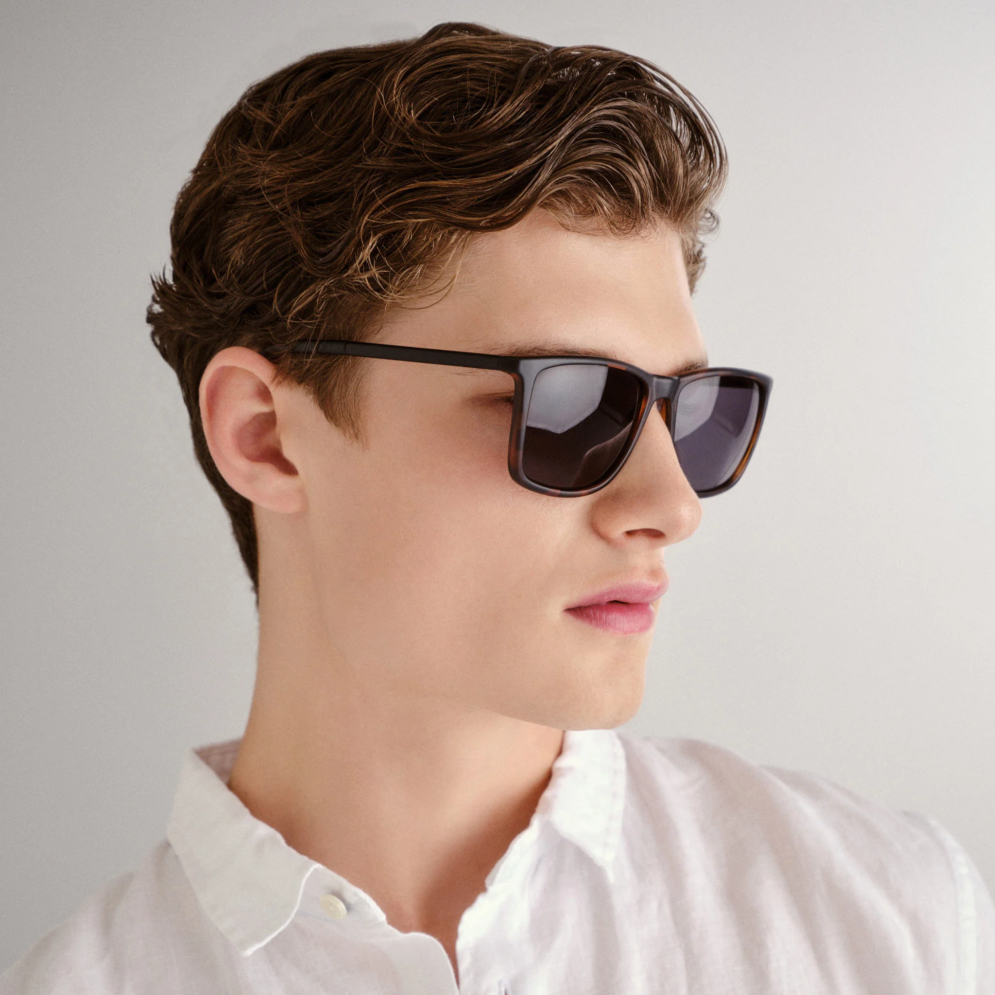 TWEEDLEDUM | MATTE TORT MATTE BLACK - Image 5